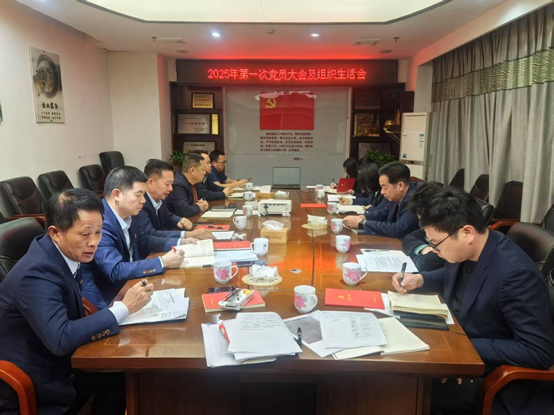 湖南交建集團黨支部召開2024年度組織生活會暨民主評議黨員會議