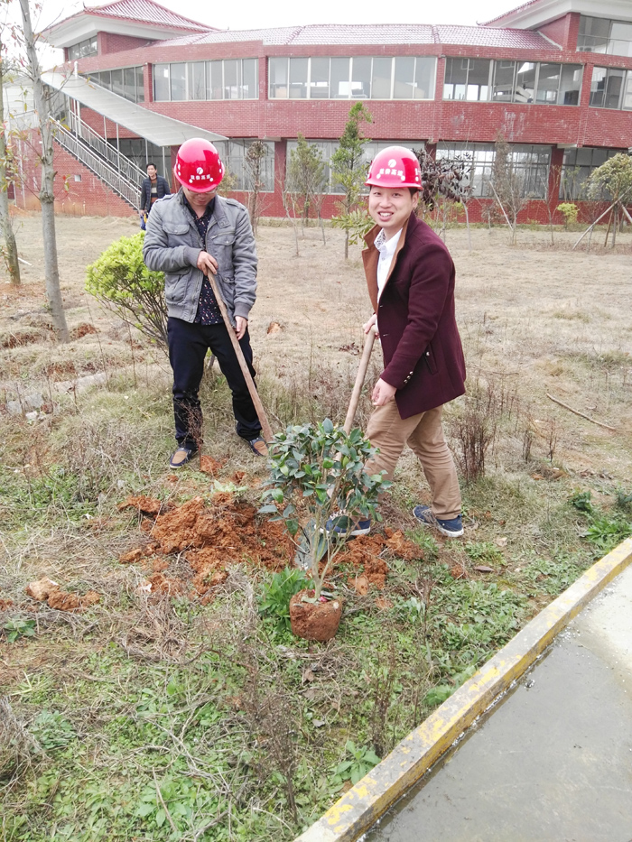 種一棵小樹，綠一方凈土